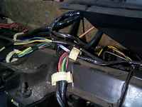 Build Up/Wiring Harness/DCP02348.JPG